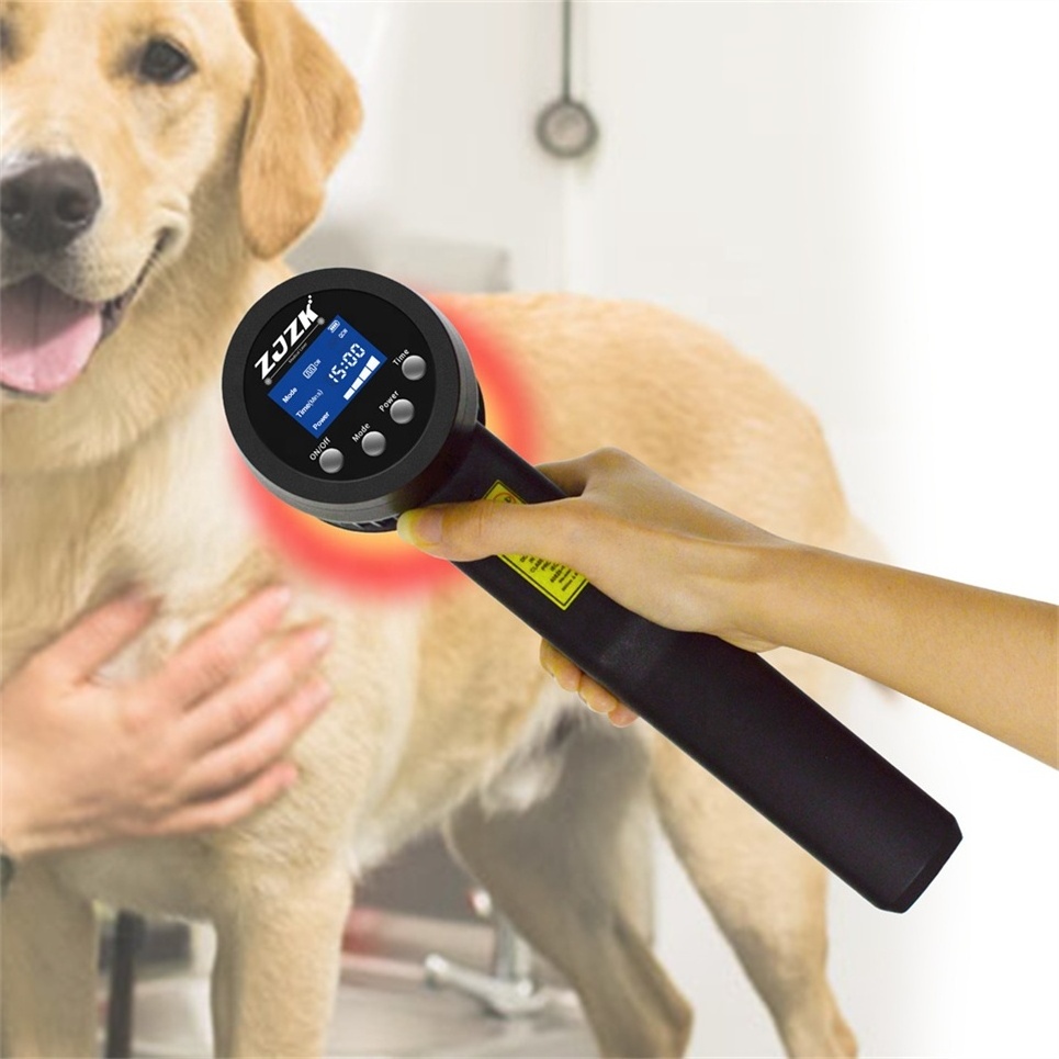 lllt laser therapy class 4 pain laser veterinary use pets dogs pain relief and wounds heal