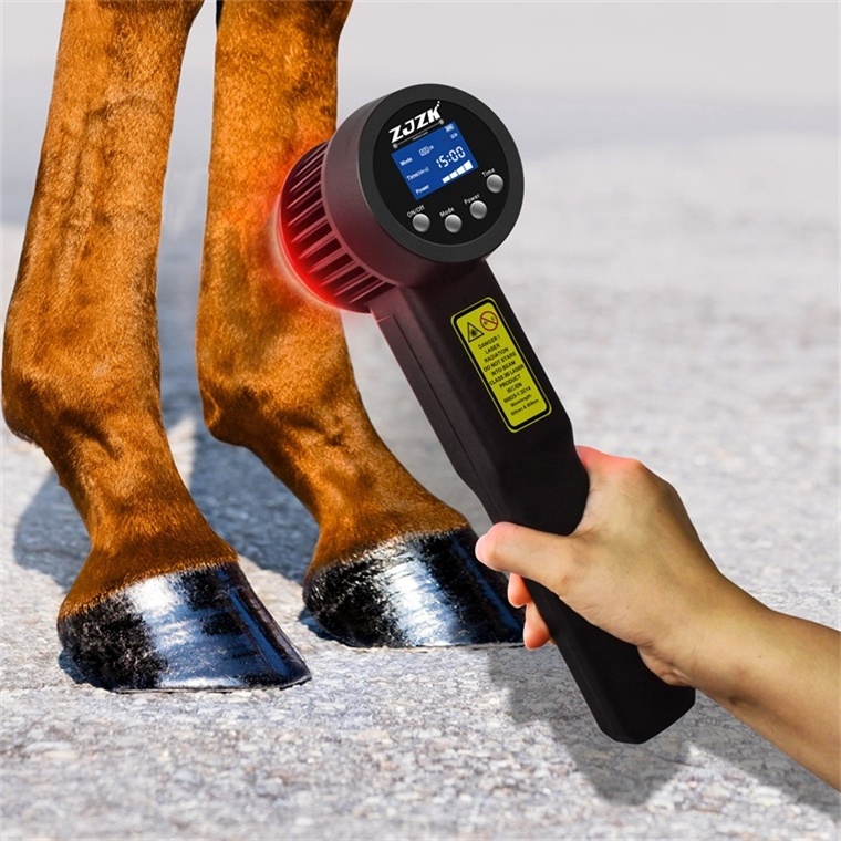 aliexpress hot sale mls laser therapy therapi vet laser horse laser therapy device