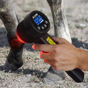 ZJZK class 3b low intensity equine laser terapi animals handheld cold laser therapy for animals