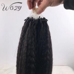 Wholesale High Quality Natural Color Virgin Brazilian Human Hair Kinky Straight Micro Loop Ring Hair Extension