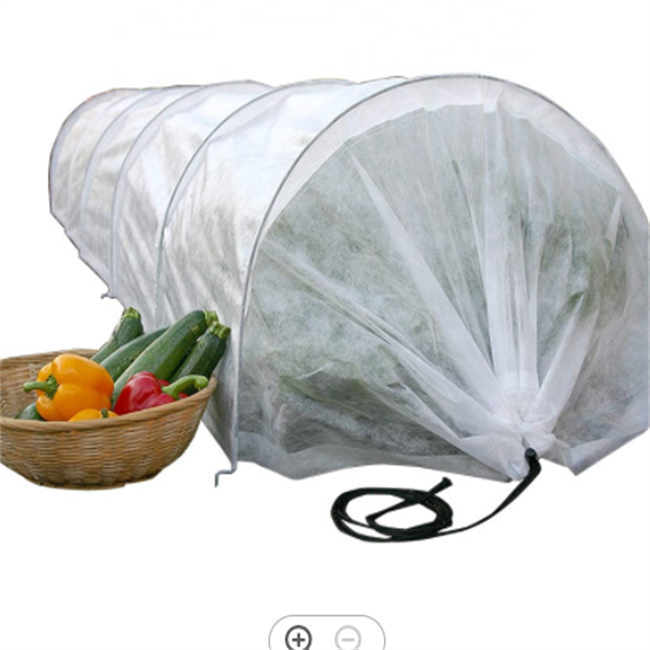 25GSM PP Non-woven fabric with UV treated in Agriculture are useful for Crop, garden, and greenhouse plants cover