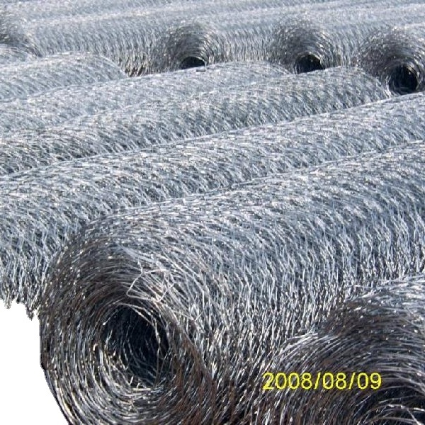 Cheap Electro galvanized Rabbit wire mesh / chicken wire / Hexagonal wire net