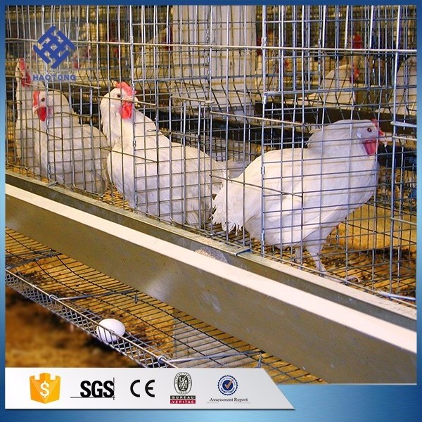 Factory supply A type and H type 3 tiers  4 tiers layer  and broiler chicken cage