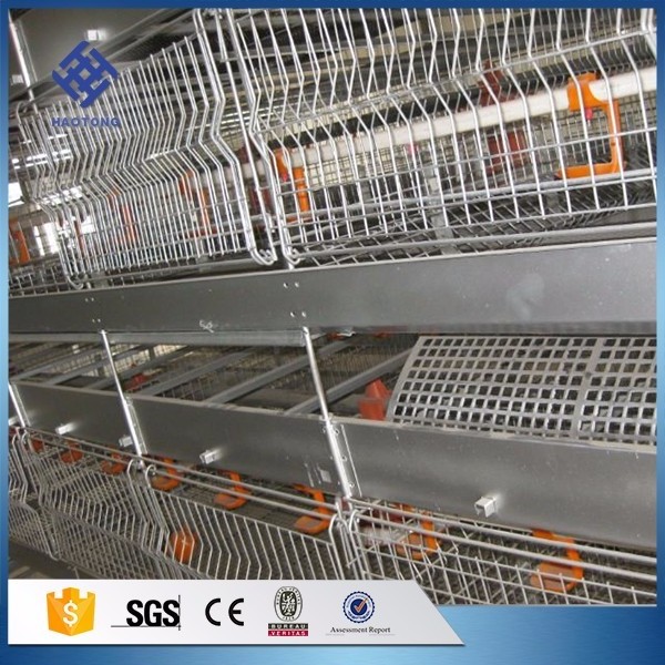 Factory supply A type and H type 3 tiers  4 tiers layer  and broiler chicken cage