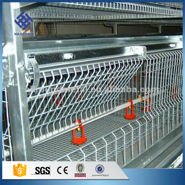 Factory Price Supply Chicken Farm Broiler Chicken Cage Layer Poultry Cages for Sale New Product 2019 80 Chicken Coop 3 Months