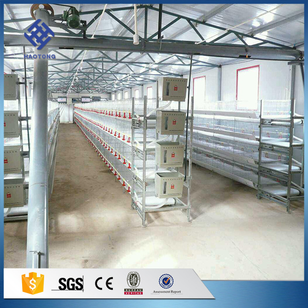 Factory Price Supply Chicken Farm Broiler Chicken Cage Layer Poultry Cages for Sale New Product 2019 80 Chicken Coop 3 Months