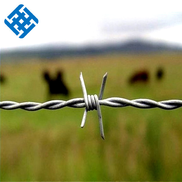 High Tensile Cheap Barb Wire Mesh Fence Roll Farm Galvanized Concertina Barbed Wire For Fencing Philippines