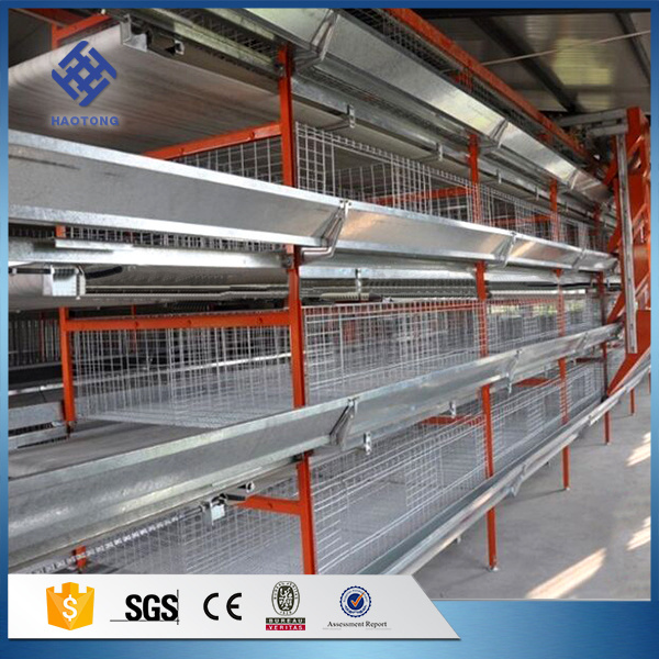 80 Chicken Farm Poultry Cages for Layer Chickens Mt 4 Tiers Layer Chicken Poultry Battery Cages 3 Months 20 Sets HT-CC010