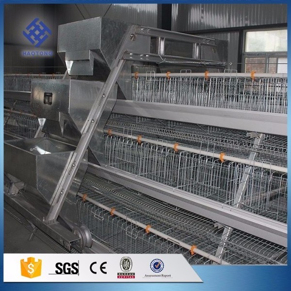 Factory supply A type and H type 3 tiers  4 tiers layer  and broiler chicken cage