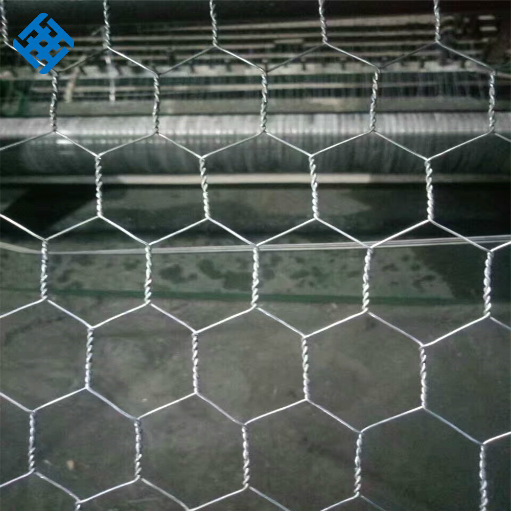 Chicken wire/fish trap hexagonal wire mesh