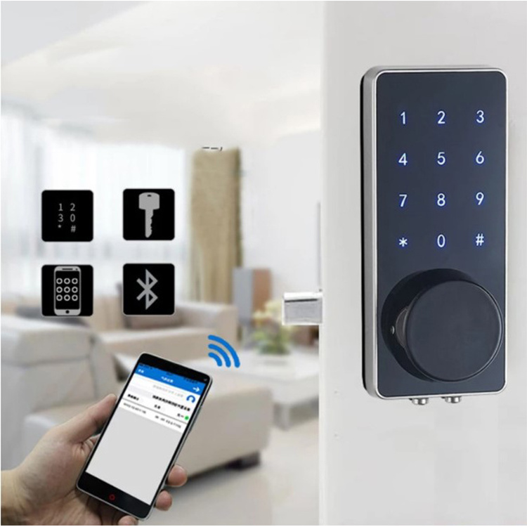 Best Quality Zinc Alloy Front Touch Panel Password/ID Card/Mechanical Key Multiple Unlocking Way BLE TTlock Smart Lock with APP