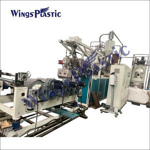 Plastic Pp Pet Polycarbonate Sheet Extrusion Extruder Making Machine Plant PET Sheet Roll Extrusion Production Line