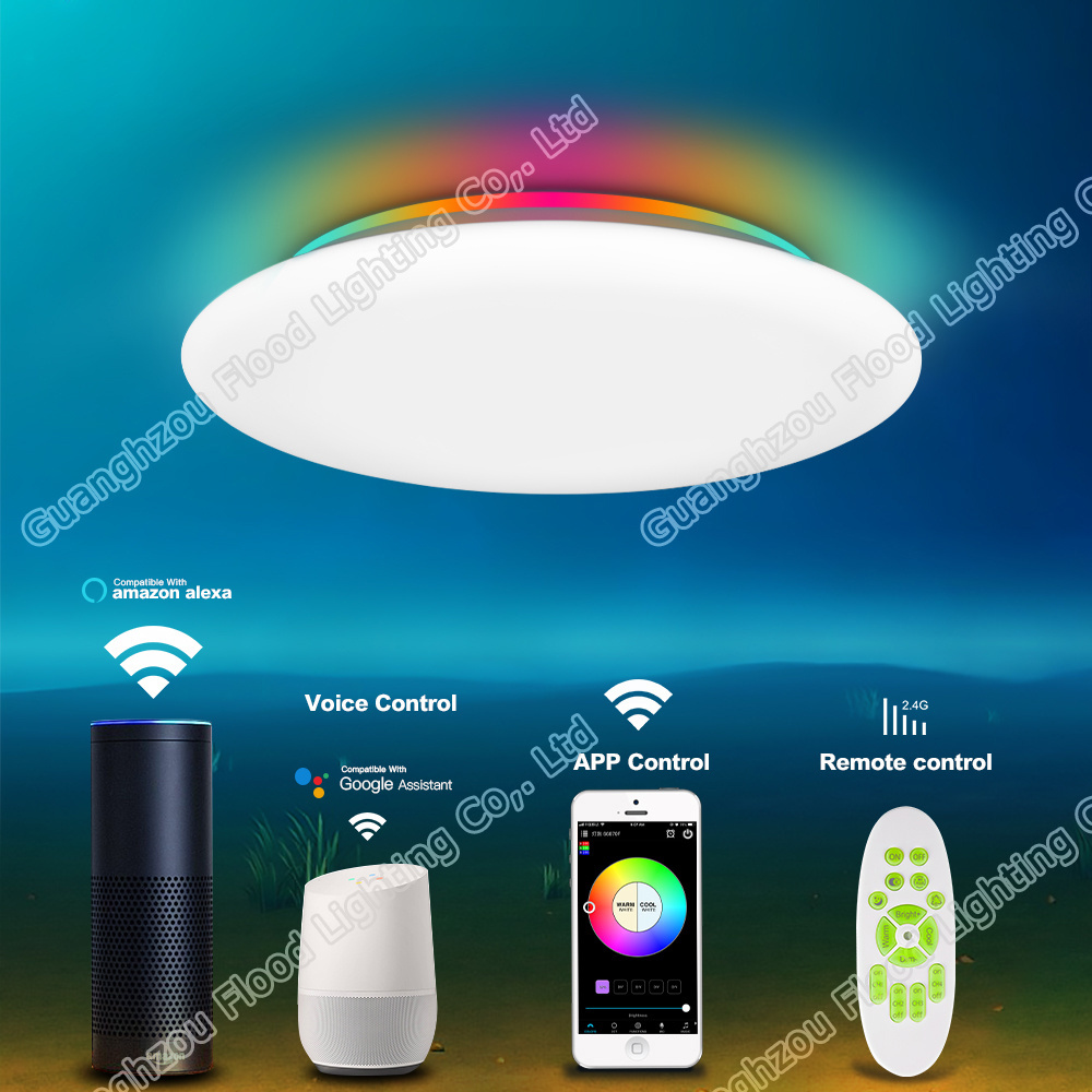 Luxury smart Ceiling Light lamp Flush Mount LED WiFi Compatible Dimmable Fixture Bedroom Living Room 12 Inch