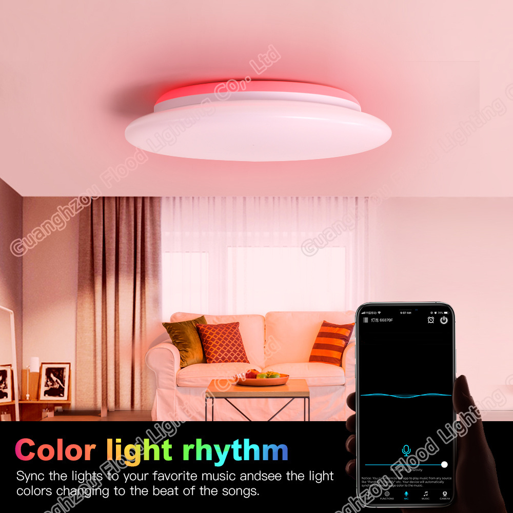 Luxury smart Ceiling Light lamp Flush Mount LED WiFi Compatible Dimmable Fixture Bedroom Living Room 12 Inch