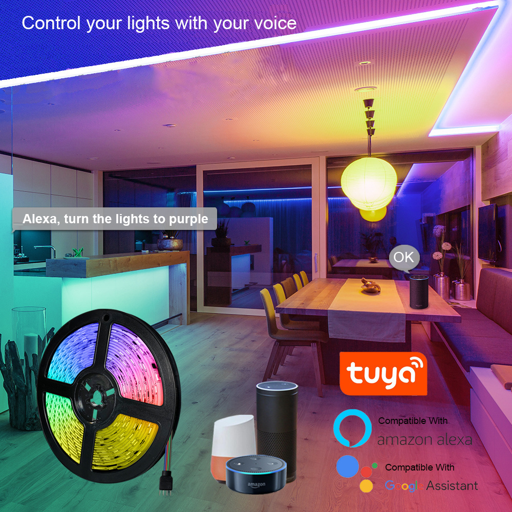 12V 5050 2835 SMD 5M 10M Lamp Led Tiras Luz Luce Led Remote Control Smart Wifi Alexa Tuya RGB Waterproof Led Strip Light