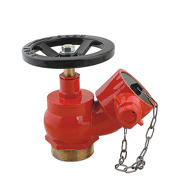 2.5'' Brass Thread Inlet Oblique Fire Hydrant Landing Valve