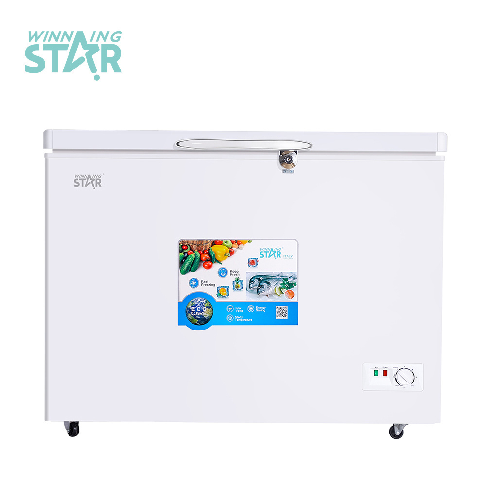 WINNING STAR Household Home Frigo Refrigerator BG-450 176L AC Deep Compression Freezer Refrigerators