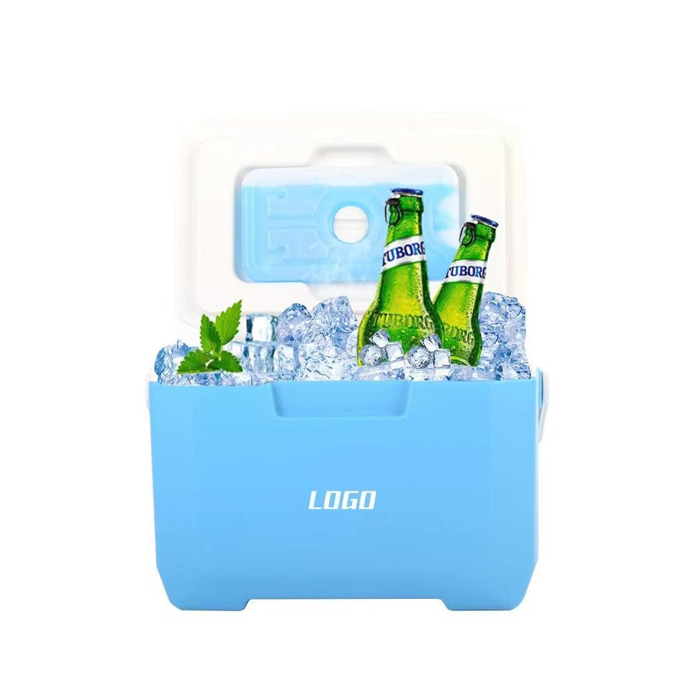 custom vintage plastic mini hard picnic portable fish ice chest Insulated cooler box 5L camping accessories