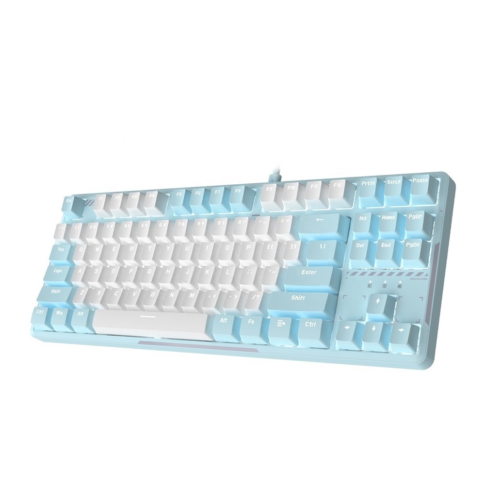 Razeak 87% Gasket Hot Swappable ABS Keycaps Magnetic Top Cover ANSI Layout NKRO 87 Keys Wired Gaming Mechanical Keyboard for Win