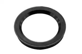 Shaft Sealing Wheel Hub Oil Seal OEM 1395999 for SCANIA Truck Spare Parts