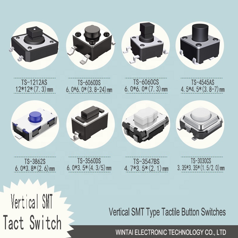 Wintai-Tech China Push Switch Square Button 2 pin mini tactile switch Factory Mini Momentary Push Button Switch