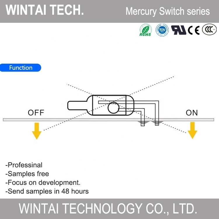 Wintai-Tech China Manufacturer 10A Mercury Switch 5mm Mercury Tilt Switch Mercury Switch