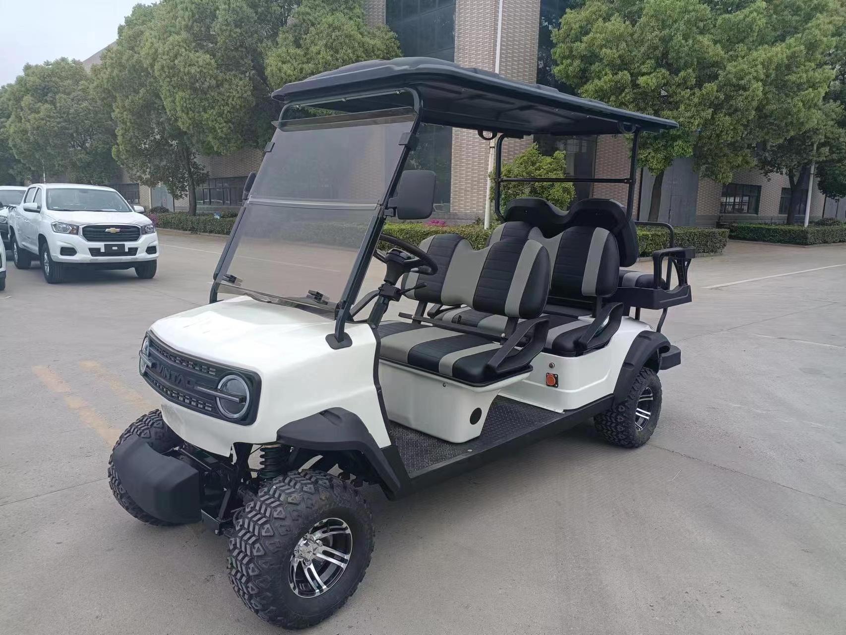 2024 China WINTAO product battery operated golf carts multiple system golf club car golf cart electric powered