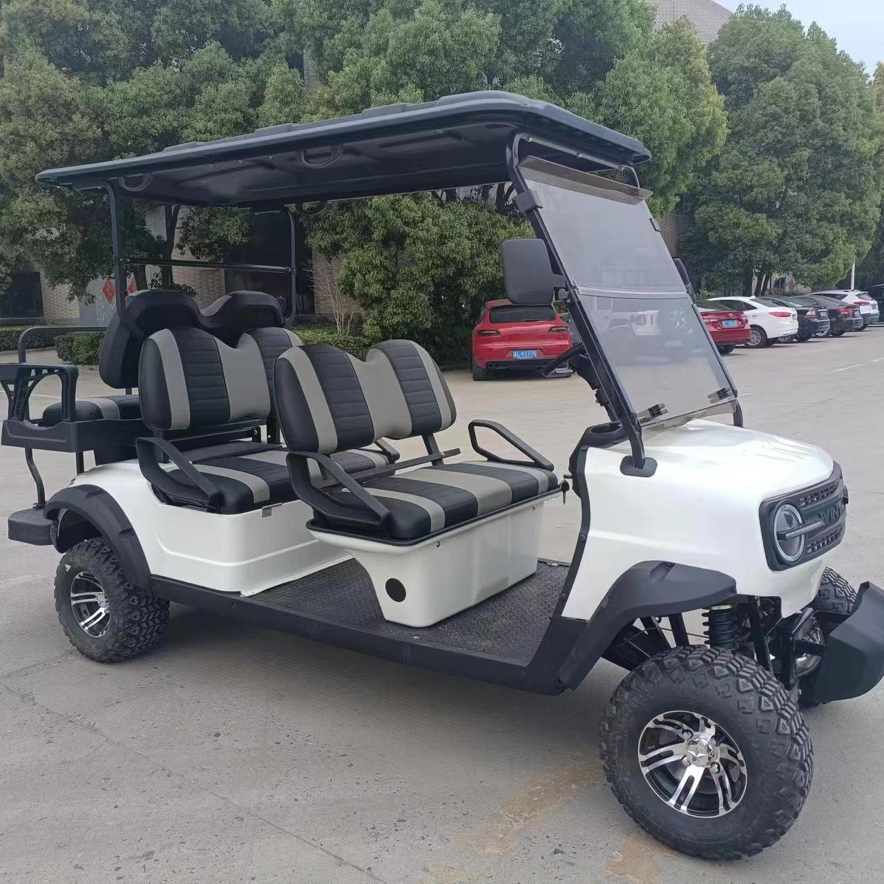 2024 China WINTAO product battery operated golf carts multiple system golf club car golf cart electric powered