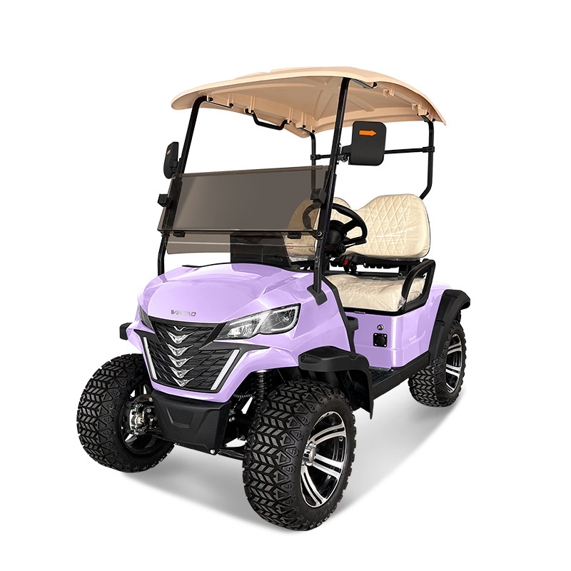 Custom Powerful 2 Seater 4 wheels Electric Golf Cart for Sale