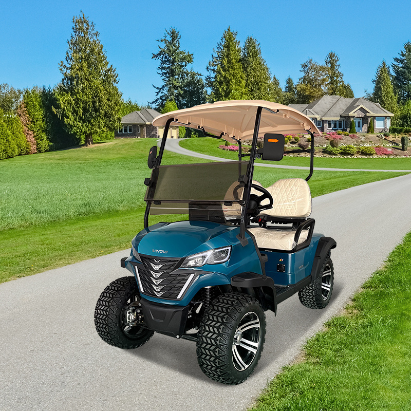 Custom Powerful 2 Seater 4 wheels Electric Golf Cart for Sale