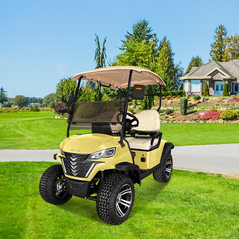 Custom Powerful 2 Seater 4 wheels Electric Golf Cart for Sale