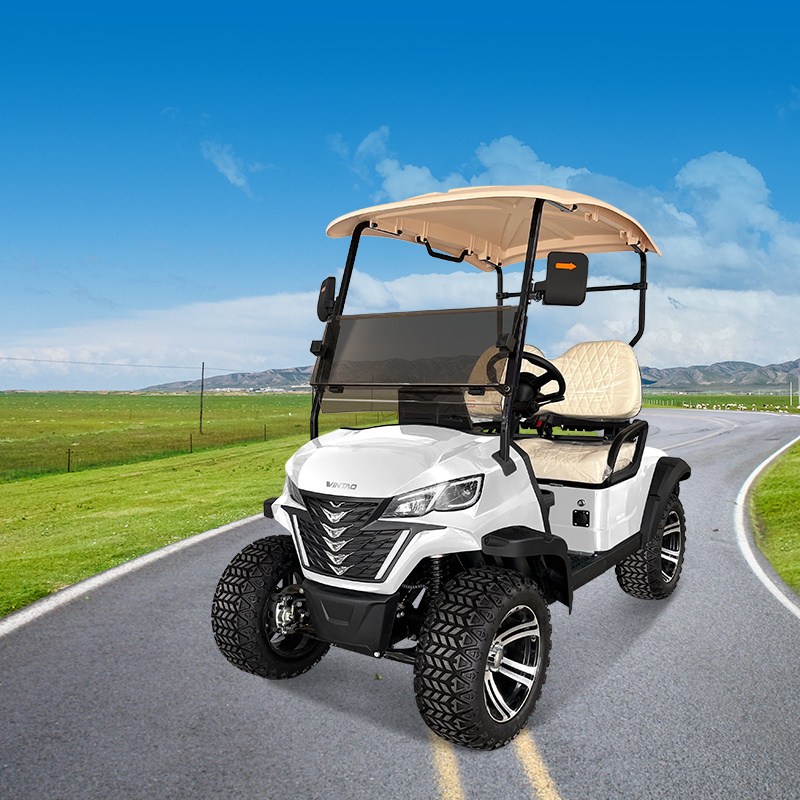 Custom Powerful 2 Seater 4 wheels Electric Golf Cart for Sale