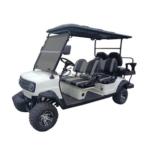 2024 China WINTAO product battery operated golf carts multiple system golf club car golf cart electric powered