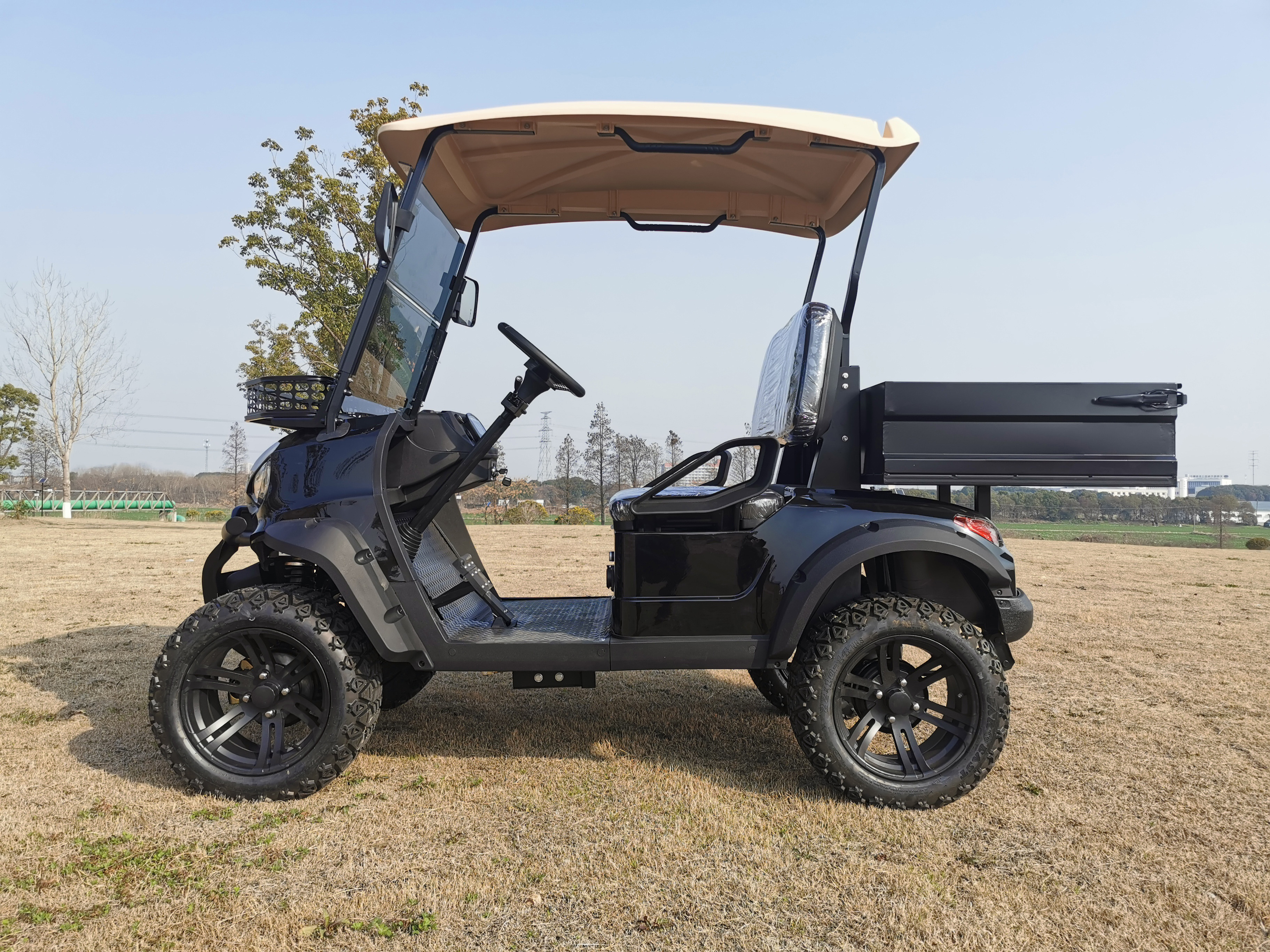 48v golf cart lithium battery high powered golf carts electric 4 seater street legal golf cart