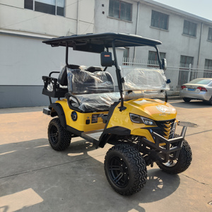 WINTAO 48V 72V four-wheel drive turf utility vehicles for hunting neighborhood outings 4 seater UTV electric low-speed vehicles