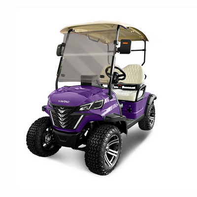 Lithium Battery Powered Golf Cart Push Trolley Cart 2 Seater 72V Golf Cart Electric