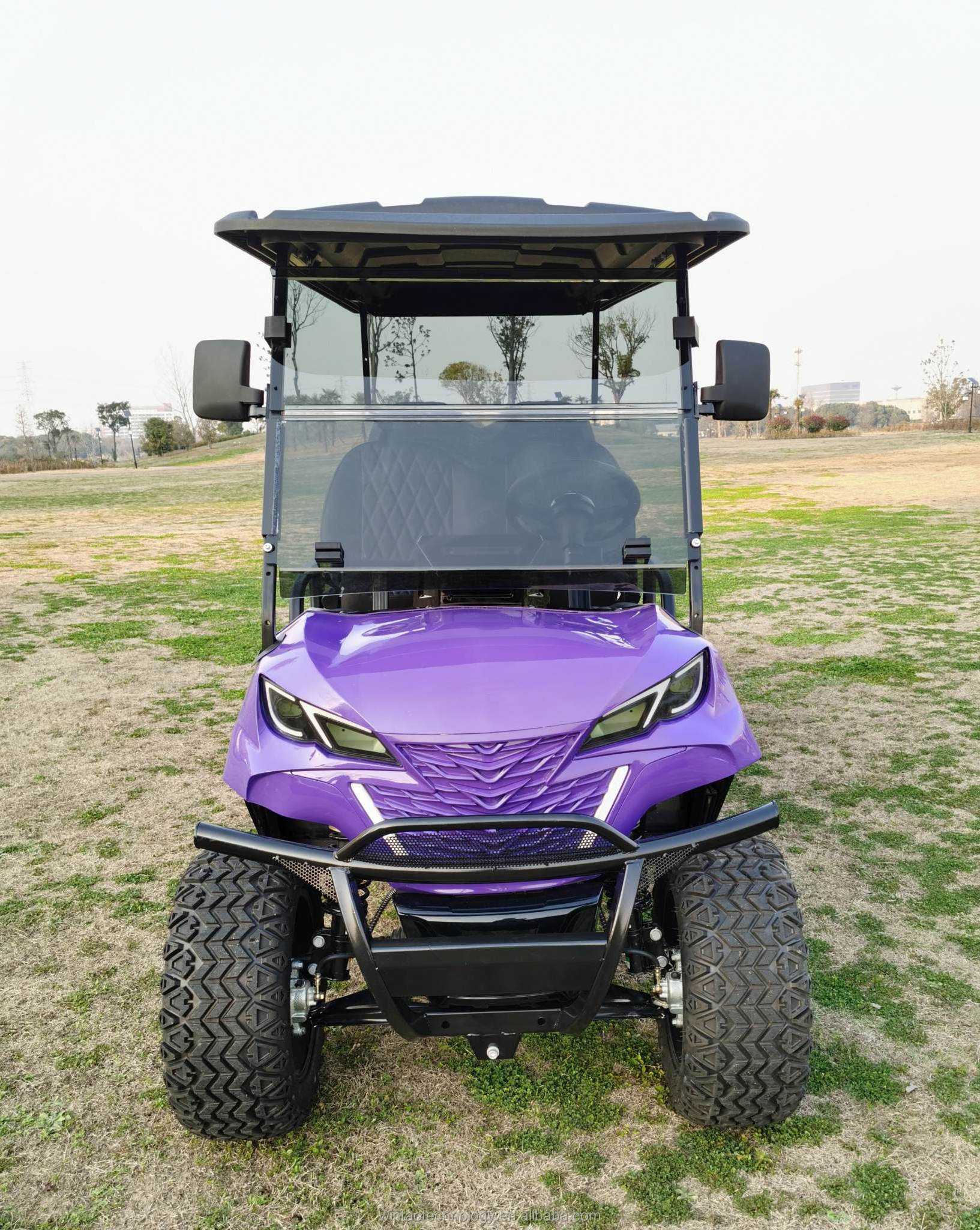 Golf Club Car Sightseeing Bus Electric Golf Carts Electric 2 To 4 To 6 To 8 Seats Golf Carts