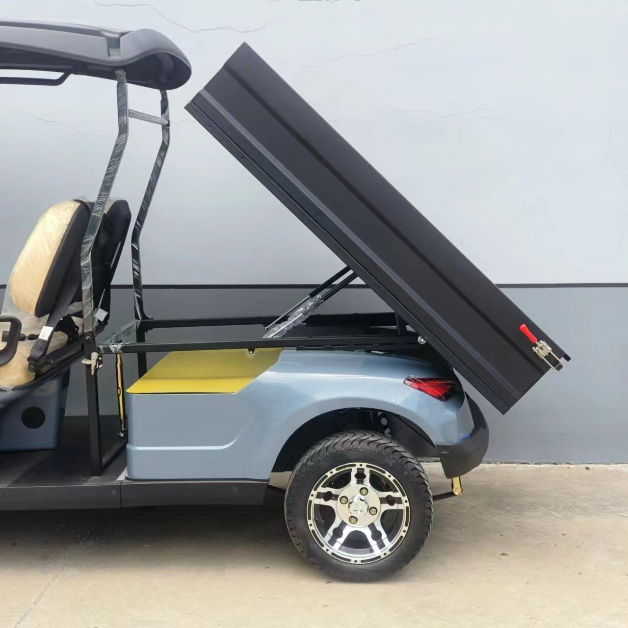 Buggy Cart 2 Seater Golf Utility Cart Electric With Cargo Box