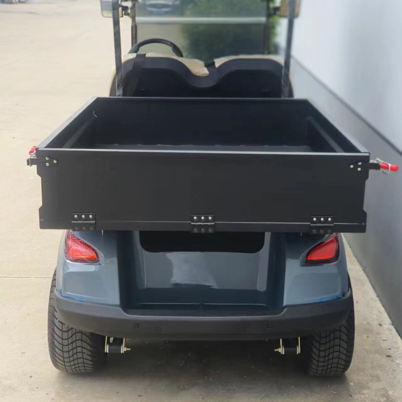 Buggy Cart 2 Seater Golf Utility Cart Electric With Cargo Box