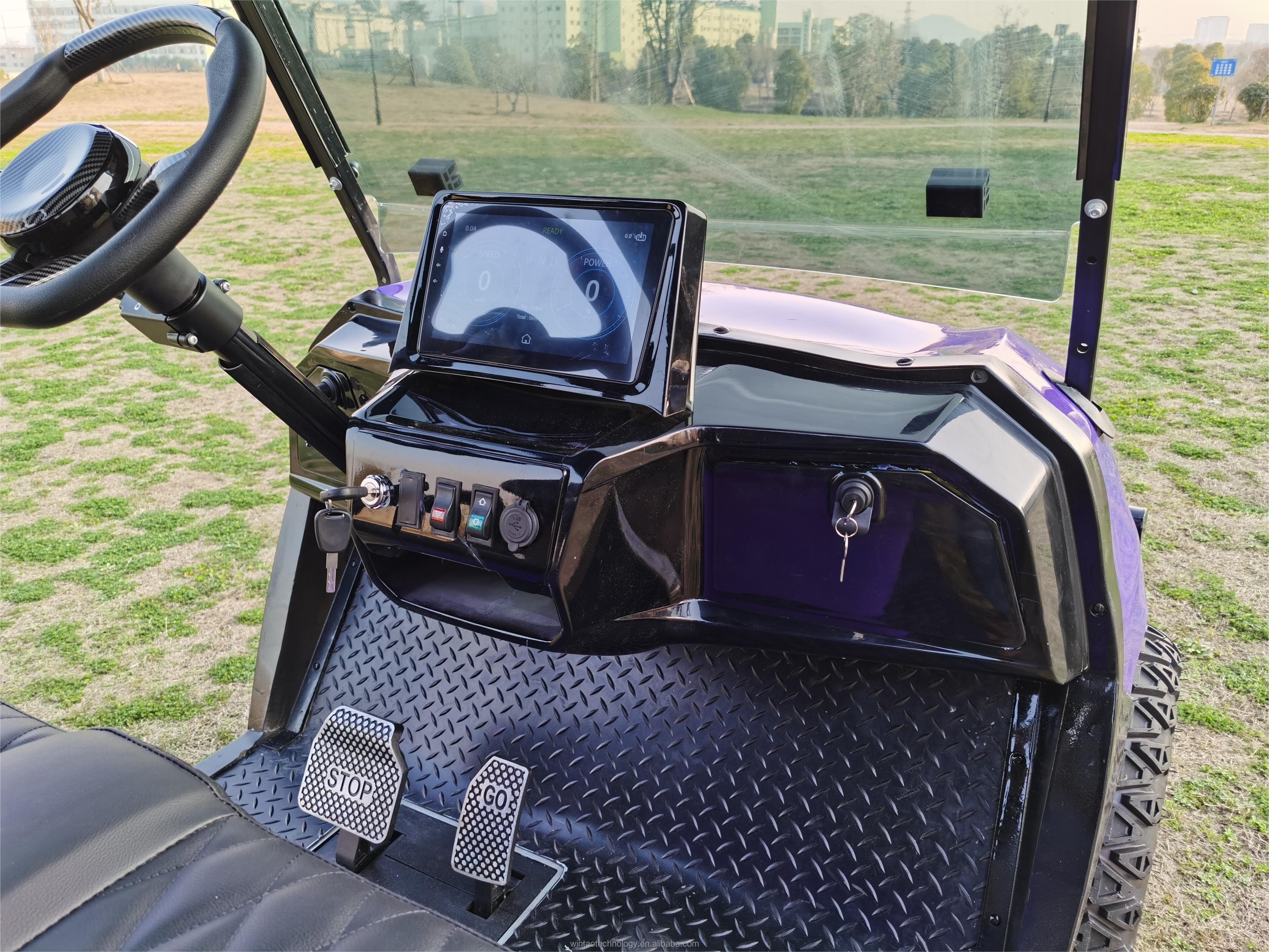 Wintao  New 2023 Powerful 4 Wheel Gas Club Car Golf Buggy Cart with Lithium Battery