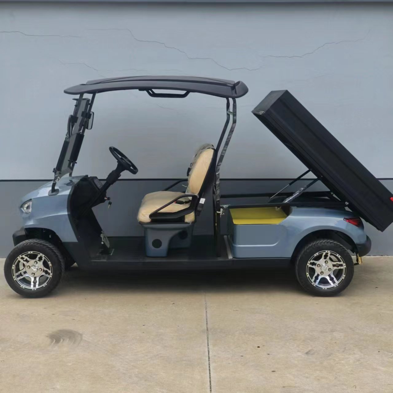 Buggy Cart 2 Seater Golf Utility Cart Electric With Cargo Box