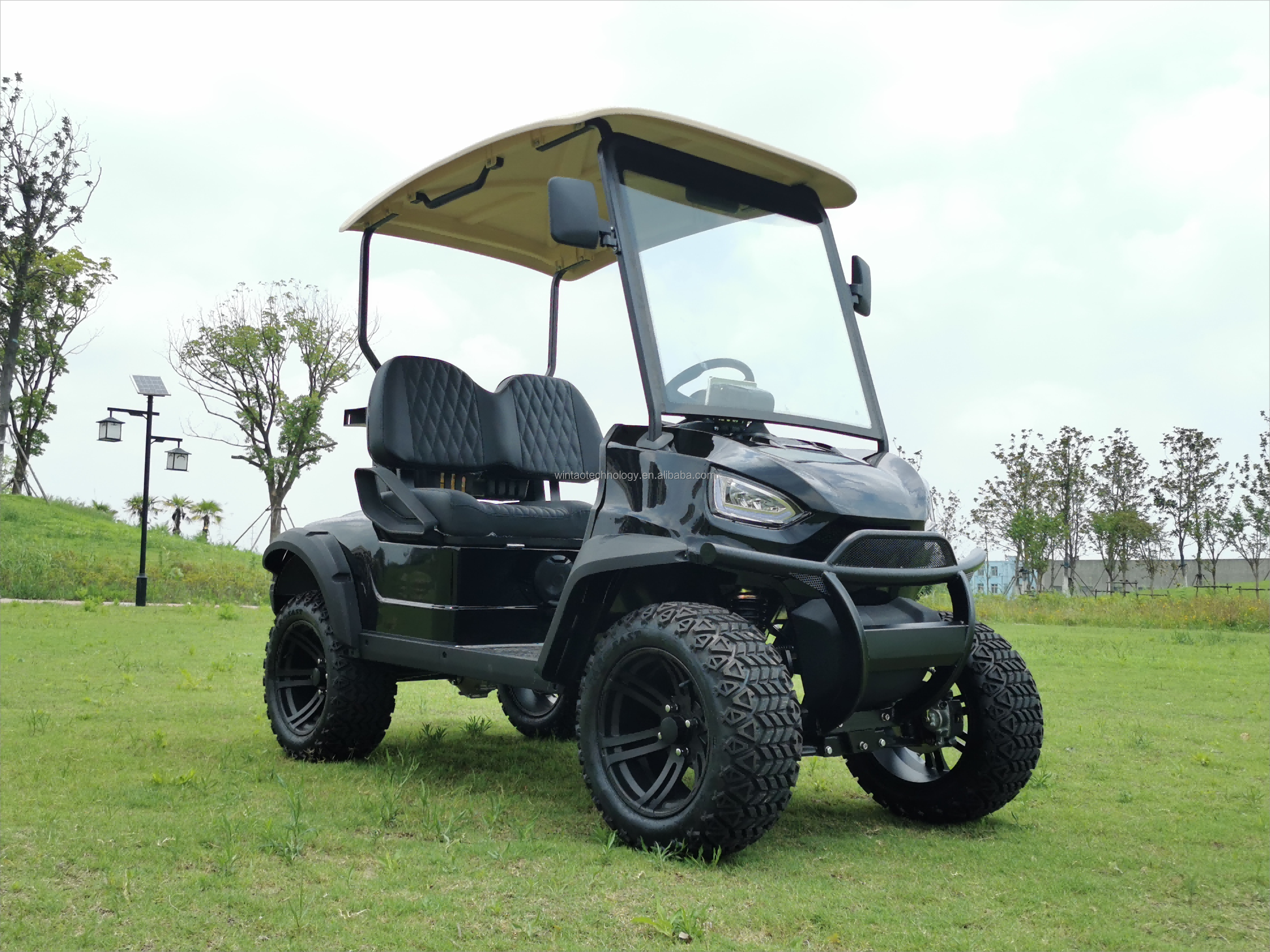 Electric Lithium Battery 2 4 6 8 Seater Golf Cart Prices 4 6 Seat 48 Volt Motorized Pakistan Street Legal Jeep Golf Carts