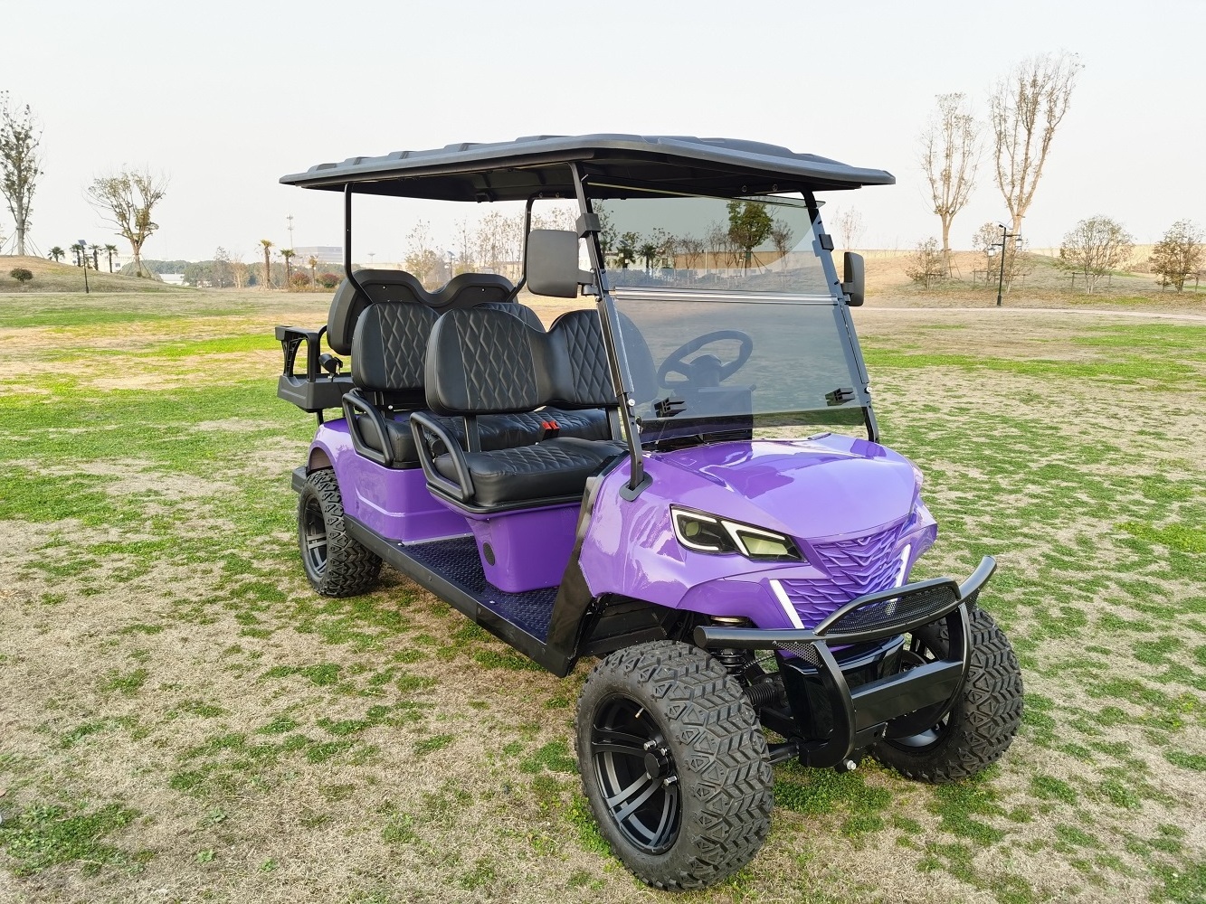 6 passenger electric golf cart with seats 4 wheel drive electric golf cart for sale  lifted golf cart