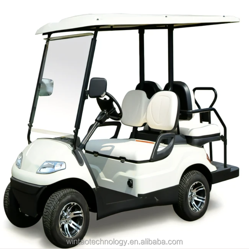 Wintao  New 2023 Powerful 4 Wheel Gas Club Car Golf Buggy Cart with Lithium Battery