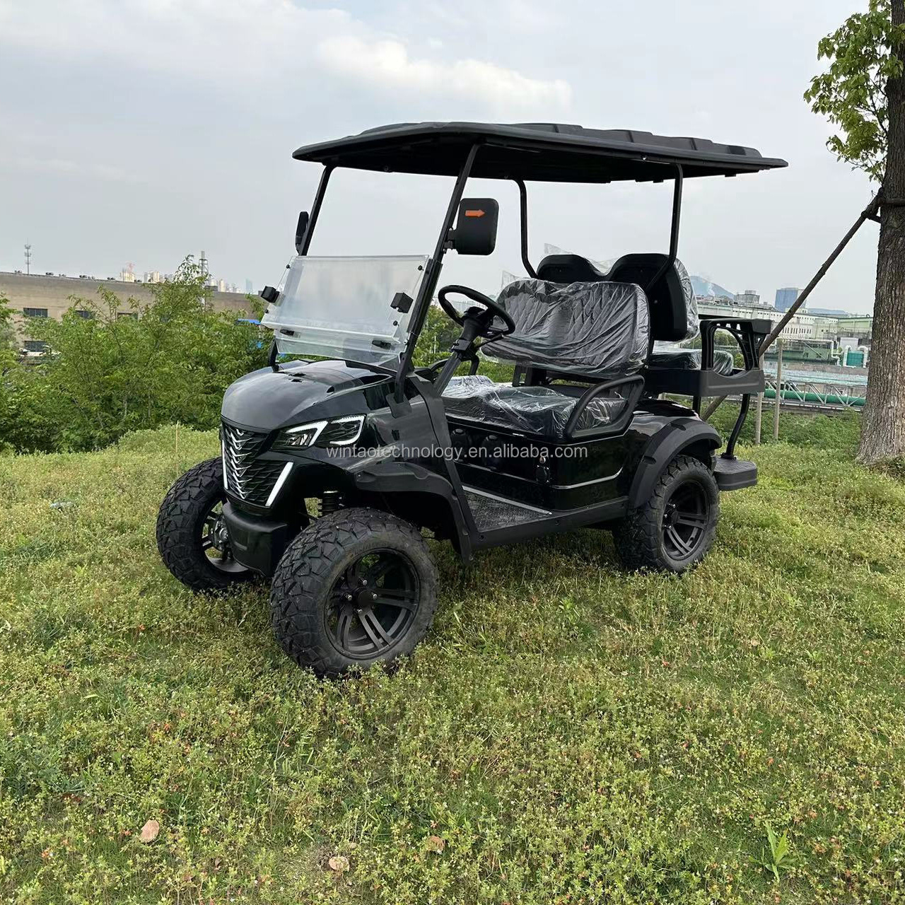 2023 new electric 4x4 golf cart for sale 5KW  48v 100ah golf cart battery solar powered golf cart