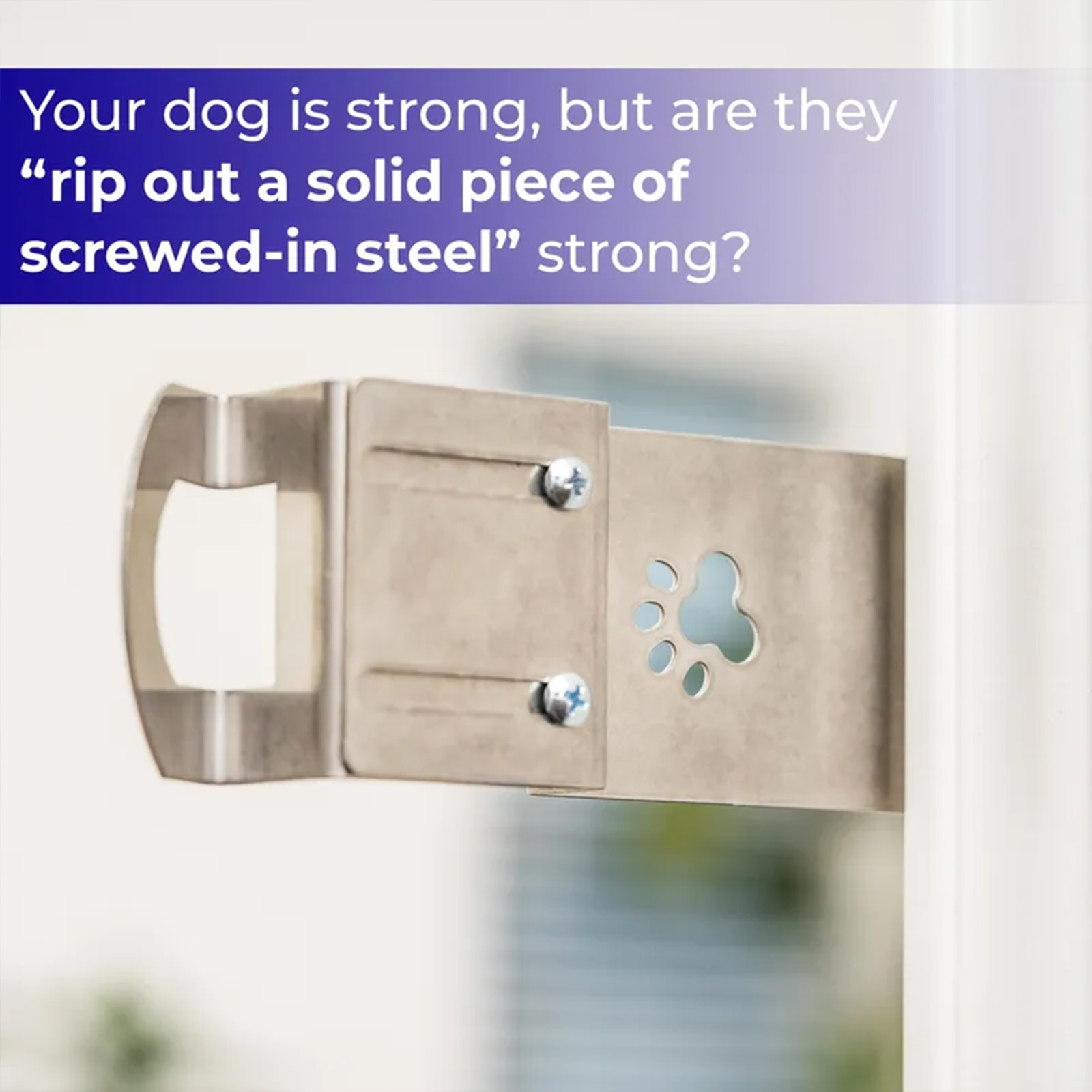 Automatic Cat Door Strap and Latch, Heavy-Duty Stainless Steel Door Holder for Keeping Dogs and Kids Out of Rooms