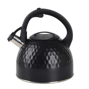 3.0L Whistling Tea Kettle  Tea Pot Customized Color Stainless Steel Hot Water Teapot for ALL Stovetop