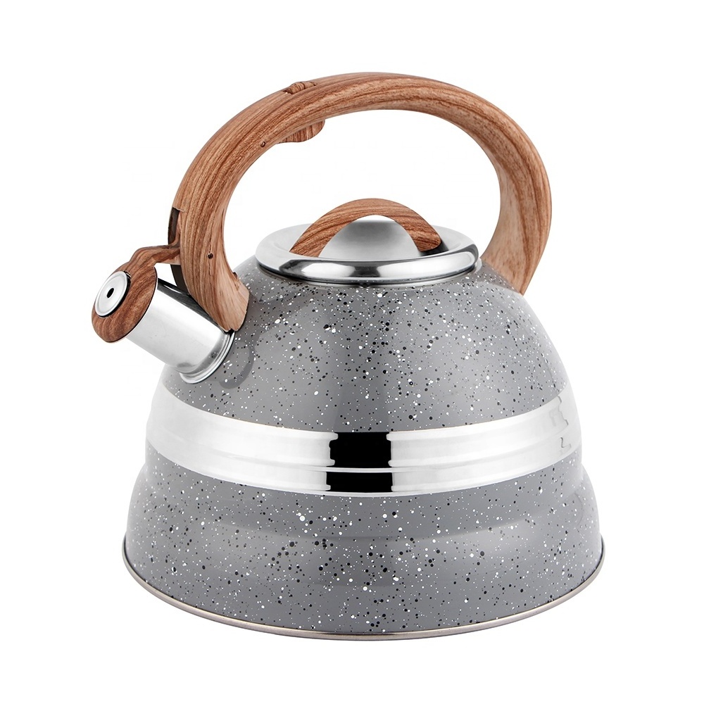 Stainless Steel Whistling Tea Kettle, Whistling Kettle with Blue Painting