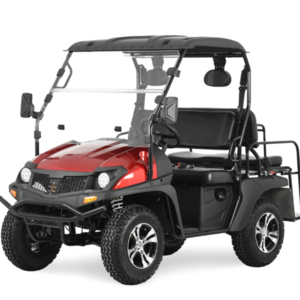 Cross dune buggy 200cc farm UTV golf UTV with high & low gear