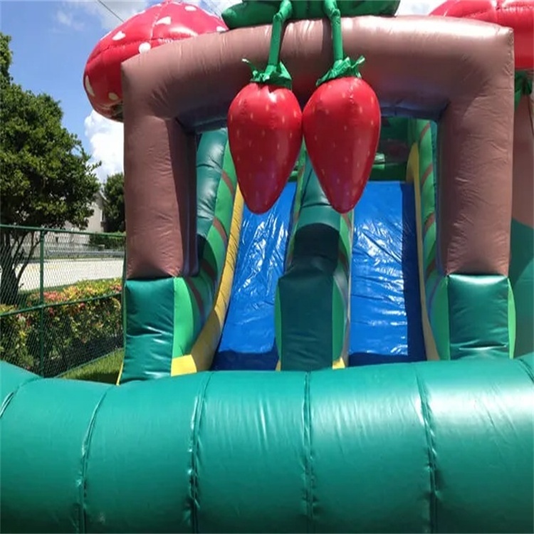 Party Strawberry Jumping Bouncer Commercial Jumper Combo Inflatable Mushroom Bouncy Castle Pvc Canopy Bounce House With Slide